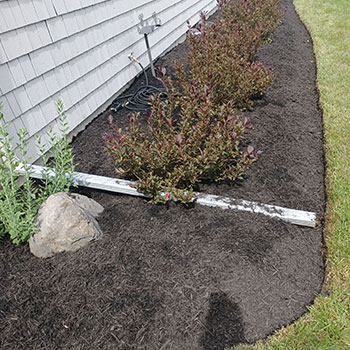 Mulch Installation